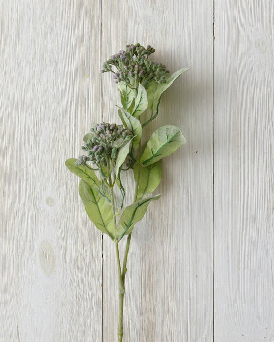 Seeded Foliage | Lavender