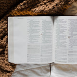 ESV Journaling Study Bible | The Story of Redemption