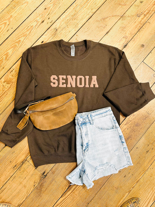 Senoia Varsity Letter Sweatshirt | Brown