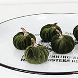 Bag of 6 Green Velvet Mini Pumpkins