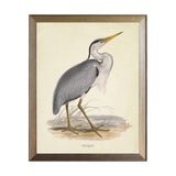Natural Blue Heron Artwork