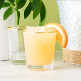 Gilded Glass Tumbler Set of 2