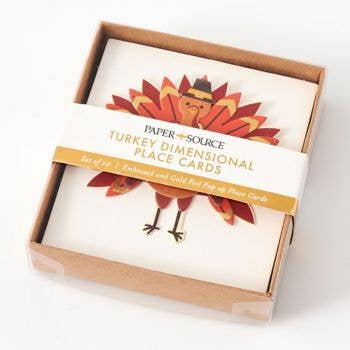 Turkey Place Card Set/10