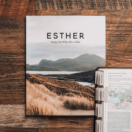 Esther | Seeing God When He Is Silent Devotional - Men