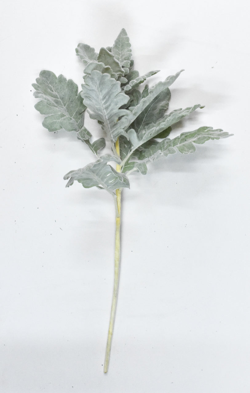 DUSTY MILLER STEMS