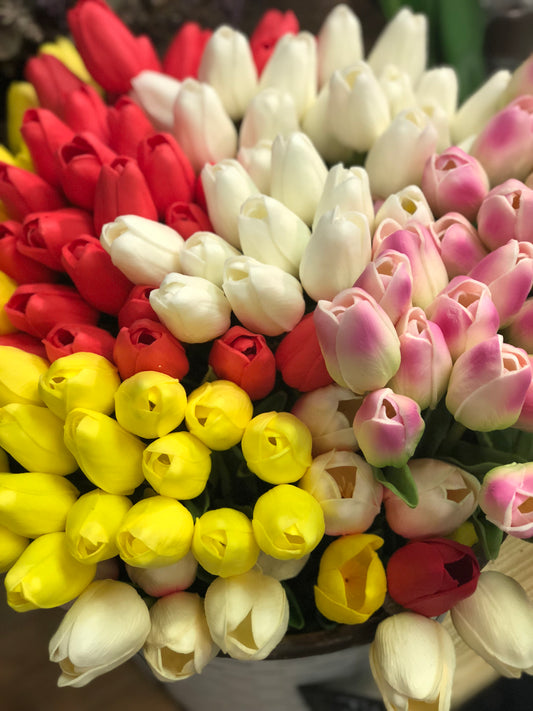 Tulip Stem | Tons of Colors Available!
