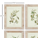 Framed Olive Leaf Botanical Prints, 4 Styles