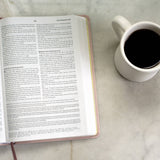 Light for Life NASB Study Bible (Blush Bouquet)