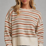 Multi Color Stripe Basic Casual Daily Sweater Top