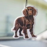 Scent South Air Freshener