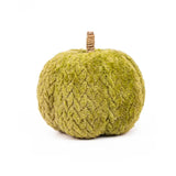 Hutchinson Pumpkins | Multiple Colors and Sizes
