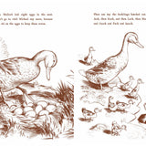 Make Way For Ducklings