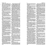 KJV Journaling Bible with Prompts [Copper Leaf]