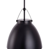 Loft Modern 1-Light Black Metal Pendant Light