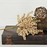 Cream Millet Berry Bush
