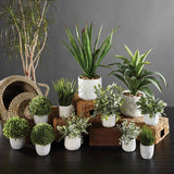 Jasmine In Marble Pot