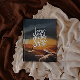 Jesus Calms the Storm Children's Book