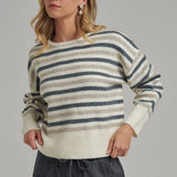 Multi Color Stripe Basic Casual Daily Sweater Top