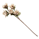 Flower Stem | Cream
