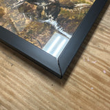 Setters Hunting Framed Artwork *damaged frame* as is.