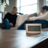 Sweet Tobacco Leaves | 10 oz Statement Candle