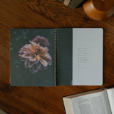 Chosen Spiral Bible Study