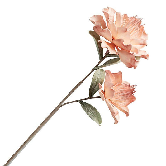 Flower Stem | Peach