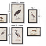Waterfowl Gallery Framed Prints, 6 Styles