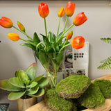 Pack of 6-Large Lifelike Mixed Sizes Artificial Moss Ball