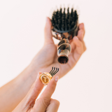 Mini Boar Brush| Multiple Colors