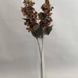 Brown Hydrangea Stem