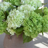 Hydrangea Real Touch Stem