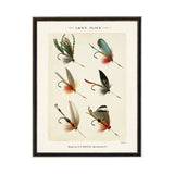Lake Fishing Flies Bookplate Framed Artwork