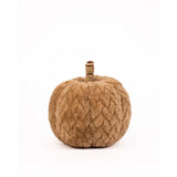 Hutchinson Pumpkins | Multiple Colors and Sizes