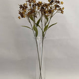 Brown Daphne Spray