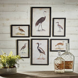 Waterfowl Gallery Framed Prints, 6 Styles