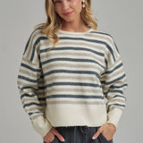 Multi Color Stripe Basic Casual Daily Sweater Top