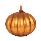 Dylan Pumpkin Decor