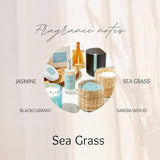 Sea Grass 1 Wick Colored Glass Candle