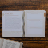 Eden to Eternity | Spiral Multiple Volumes Bible Study