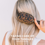 Detangler Hair Brush for Fine Hair | Tortoise
