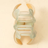 Large Gradient Flower Hair Claws
