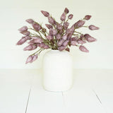 Purple Succulent Flowers