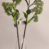 Berry Fruit Angelica 24" Green White