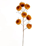 Pumpkin Stem