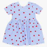 Girls Apple Orchard Gingham Short Sleeve Knit Twirl Dress