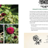 A Home in Bloom, Book - Garden