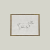 Horse Sketch Framed Antique Art