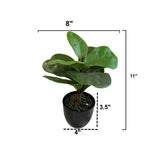 Potted Artificial Fig Plant