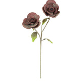 Purple Blossom Stem